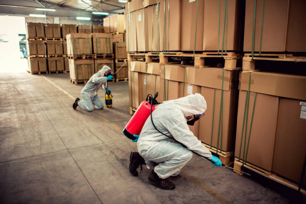 Trusted Archer, FL Pest Control Experts