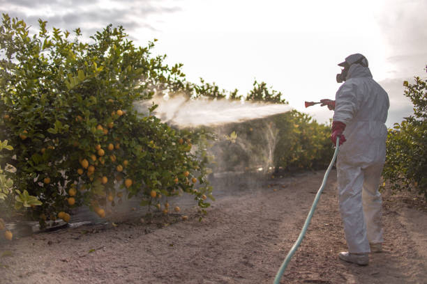 Archer, FL Pest Control Company