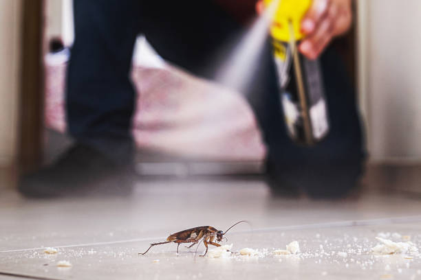 Best Affordable Pest Control Services  in Archer, FL