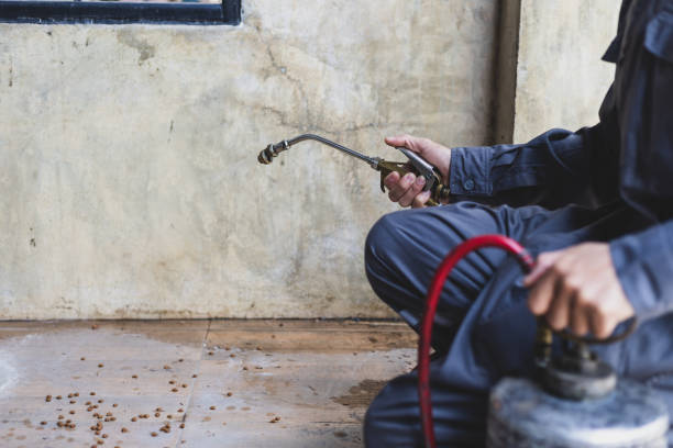 Pest Control for Restaurants in Archer, FL